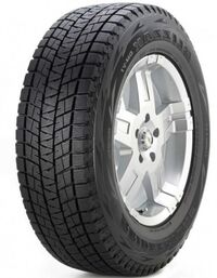 Bridgestone Blizzak DM-V1