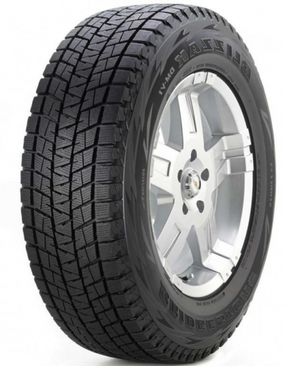 Bridgestone Blizzak DM-V1